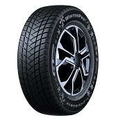 205/65 R15 94T TL WINTERPRO 2 EVO 3PMSF D-B-2